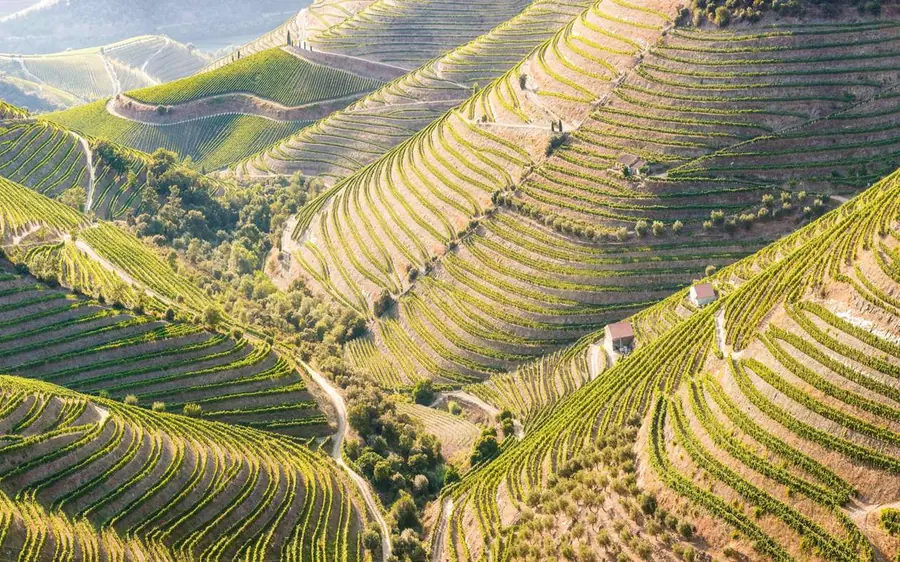A wooden signpost reading Douro Valley on a post in front of green vineyard slopes