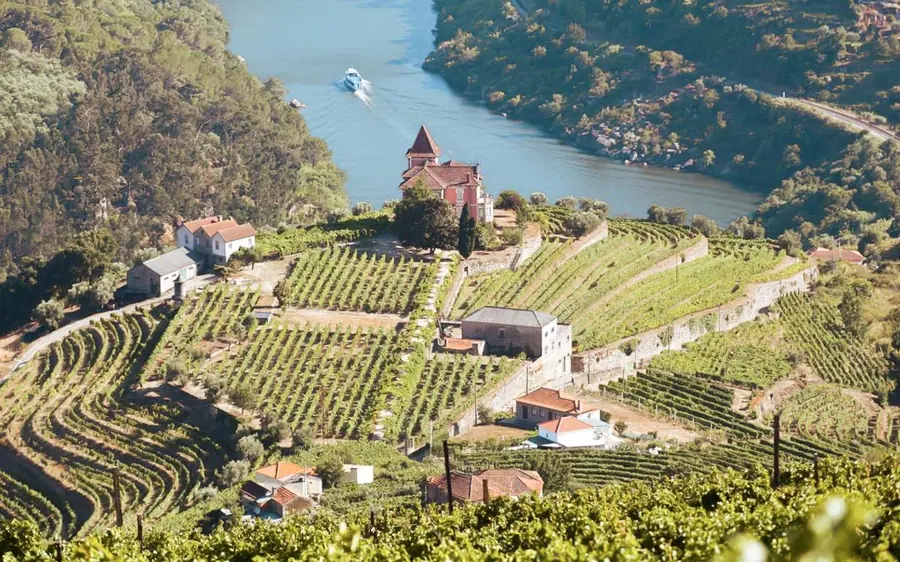 Terraced vineyards running down to a river bend, a white house on the ridge