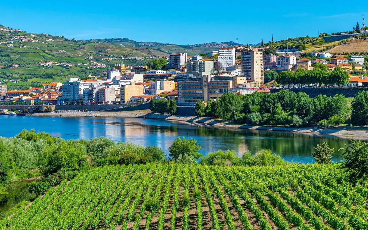 A town of pale buildings along the far bank of a wide river, with green vineyard rows running down to the water in the foreground